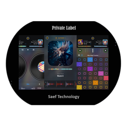 중국 공장 10.1 인치 TFT LCD 디스플레이 1280x800 픽셀 IPS 타입 LVDS CTP